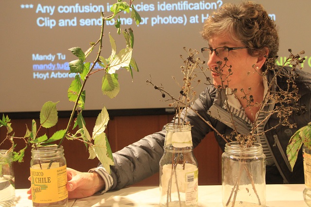 Invasive Rubus Community Science Project