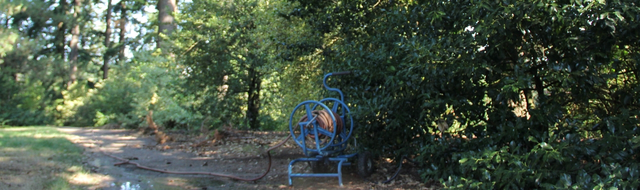 Hydration Station: Watering at Hoyt Arboretum in the Summer