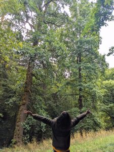 The back of a young adult male with dark mid-length wavy hair and a dark green jacket stands at the base of a tall tulip tree with his arms outstretched looking up at the canopy.