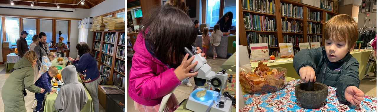 Pop-Up Nature: Fall Into Science!