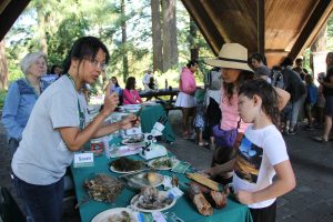 Volunteer Sarah Tsai points out the bark structure of a native tree to a youth with their mother at a table with lots of nature items scattered on it. They are surrounded by other families exploring exhibits and displays underneath Hoyt Arboretum's Stevens Pavilion.