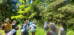 A group of volunteers gather around a woman in a red baseball cap who is describing a plant characteristic.