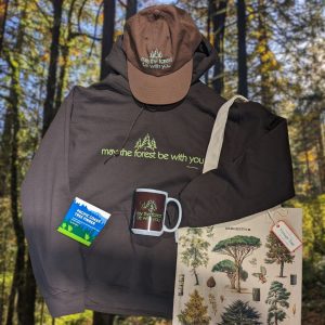 May the Forest Be With You merchandise including a brown hoodie, brown baseball hat. and mug with the slogan, a pocket tree guide book peeking out of the front pocket, and a Cavelini vintage arboretu, tote bag staged to look like a person on walking on trail with a wooded background.