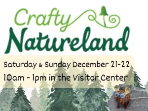 A promo image with the words crafty natureland in green cursive with a mushroom graphic in the text above construction paper-style trees, and a picture of a little mouse crafted out of a douglas-fir cone with googly eyes.