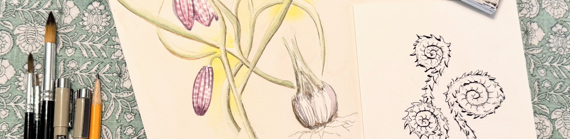 Botanical Illustration Workshop Series