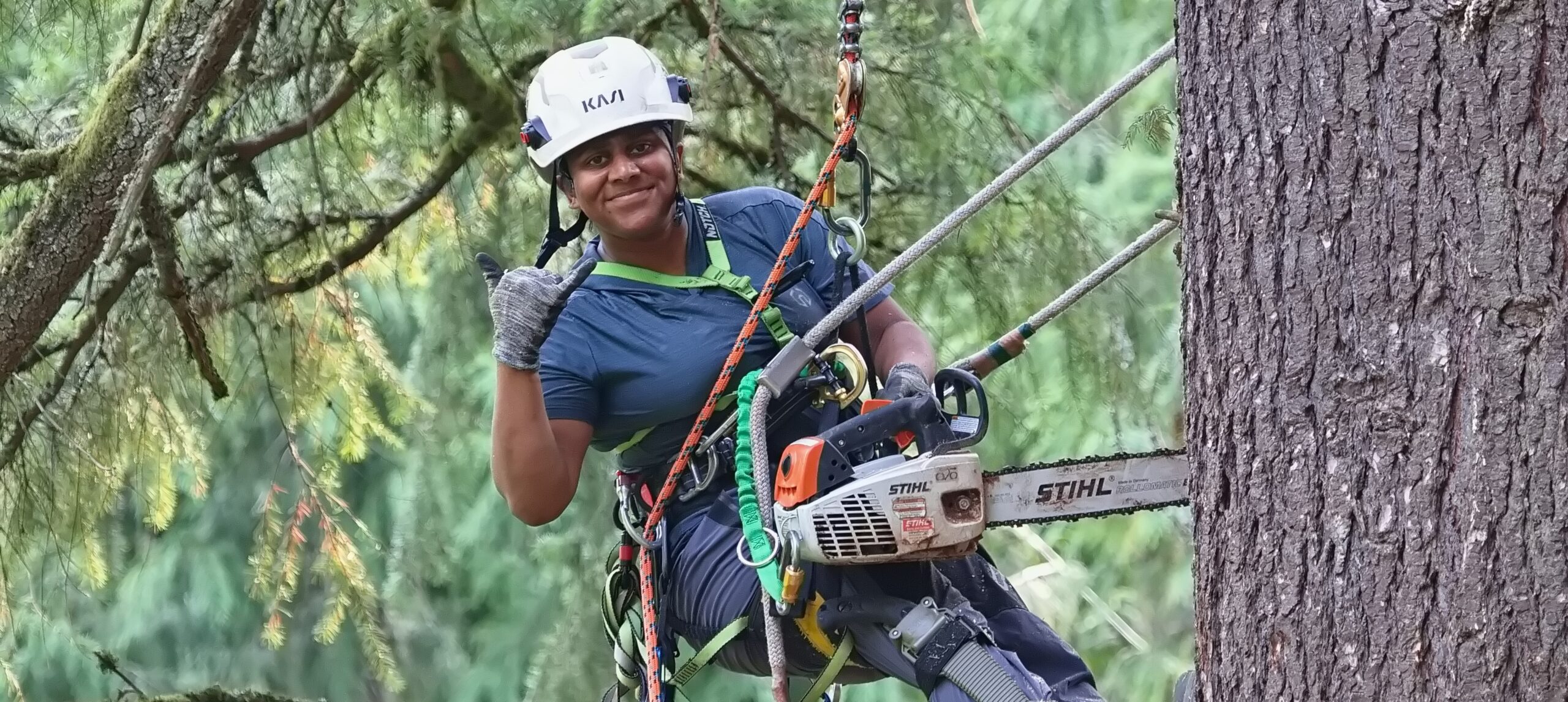 Arborists in the Arboretum